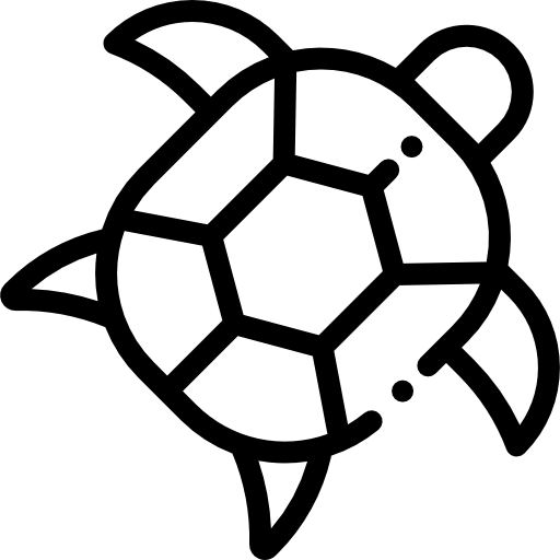 черепаха.png