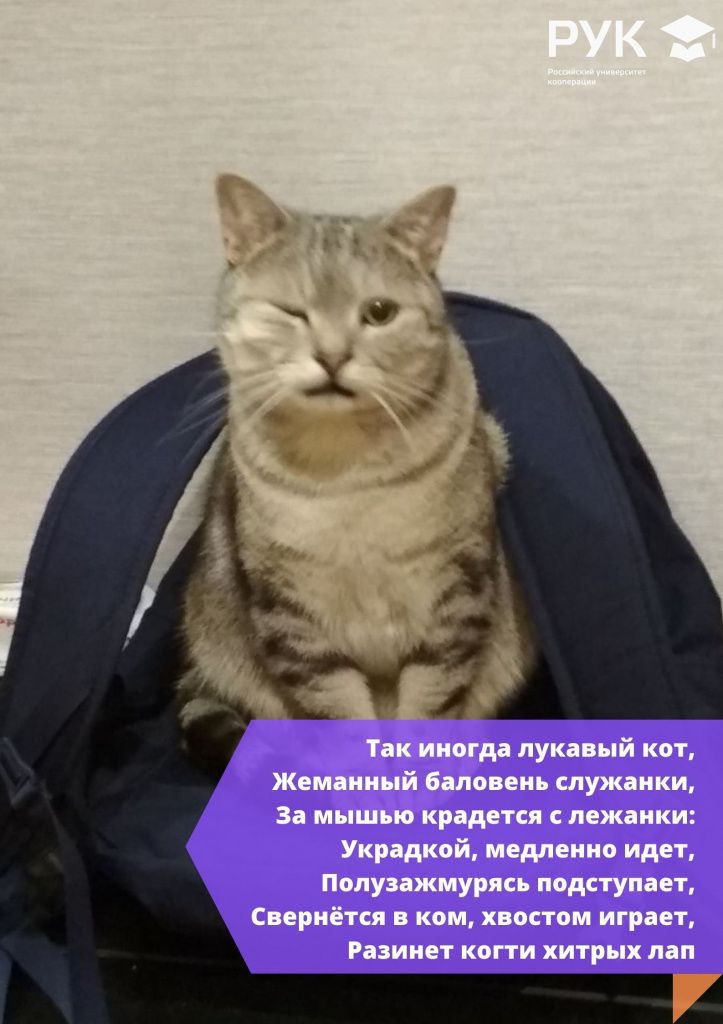 05.jpg