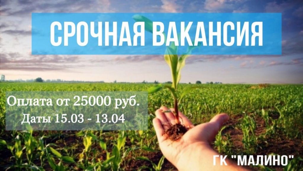 РСО вакансия