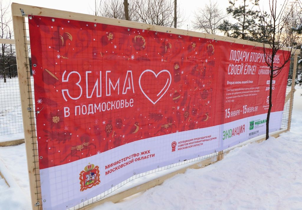 елки.jpg